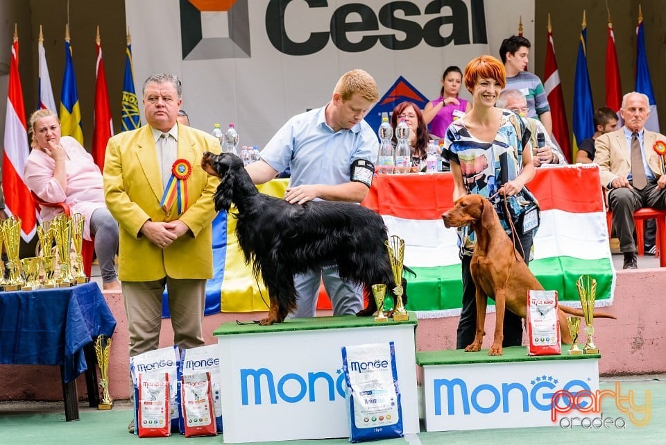 Expoziţie de frumuesţe canină, Oradea