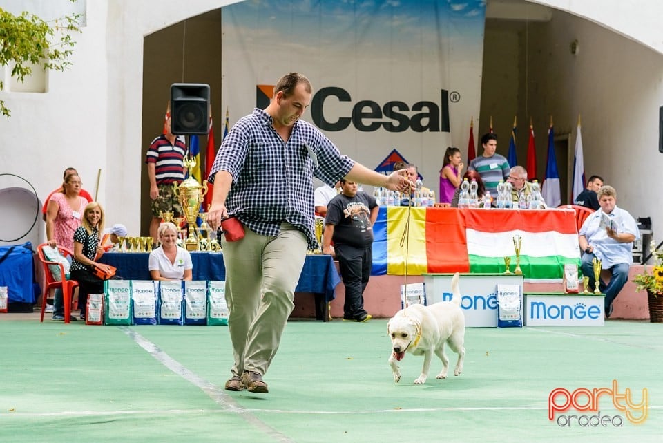 Expoziţie de frumuesţe canină, Oradea