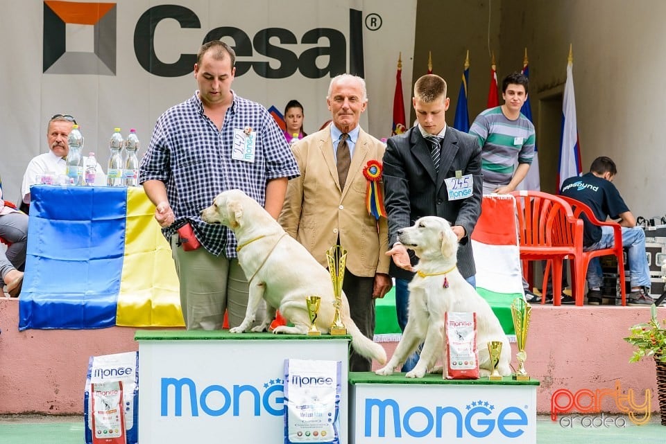 Expoziţie de frumuesţe canină, Oradea