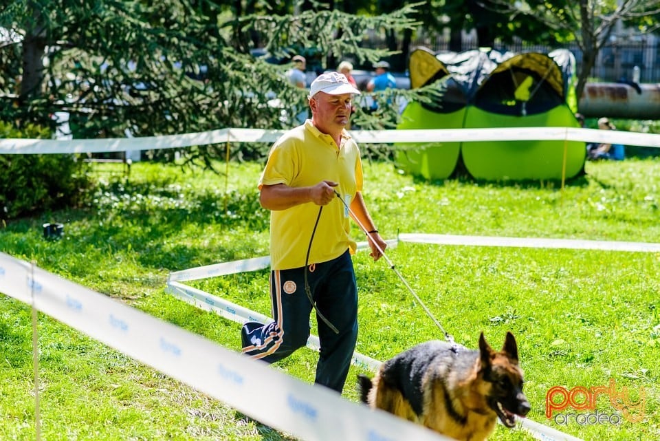 Expoziţie de frumuesţe canină, Oradea