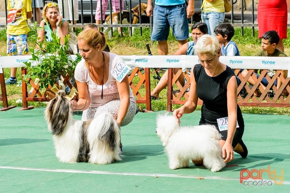 Expoziţie de frumuesţe canină, Oradea