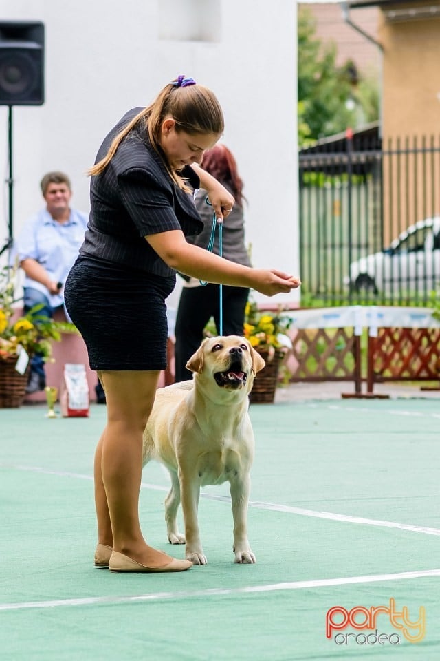 Expoziţie de frumuesţe canină, Oradea