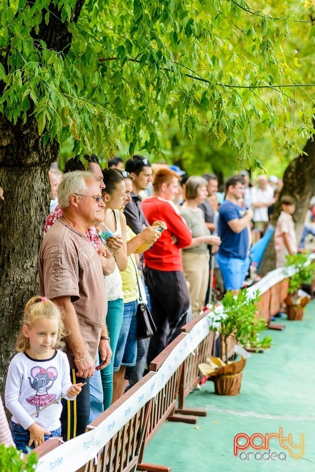 Expoziţie de frumuesţe canină, Oradea