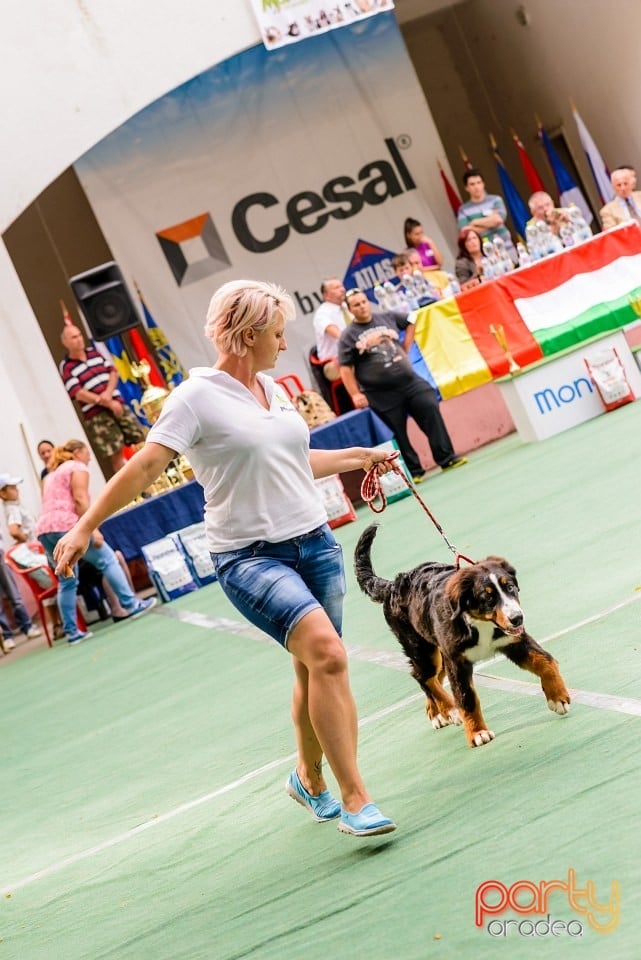 Expoziţie de frumuesţe canină, Oradea