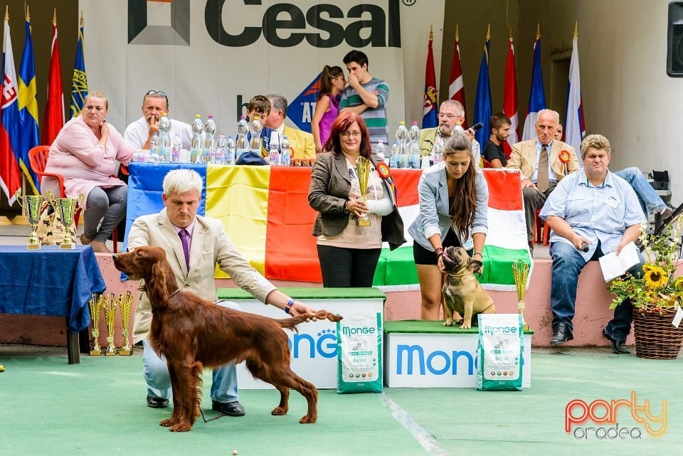 Expoziţie de frumuesţe canină, Oradea