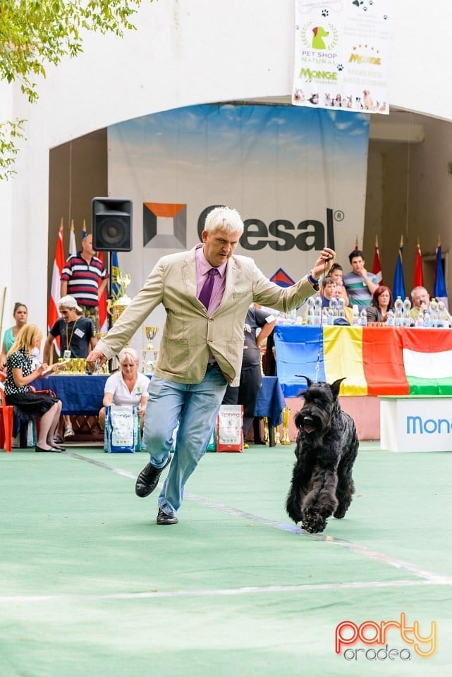 Expoziţie de frumuesţe canină, Oradea