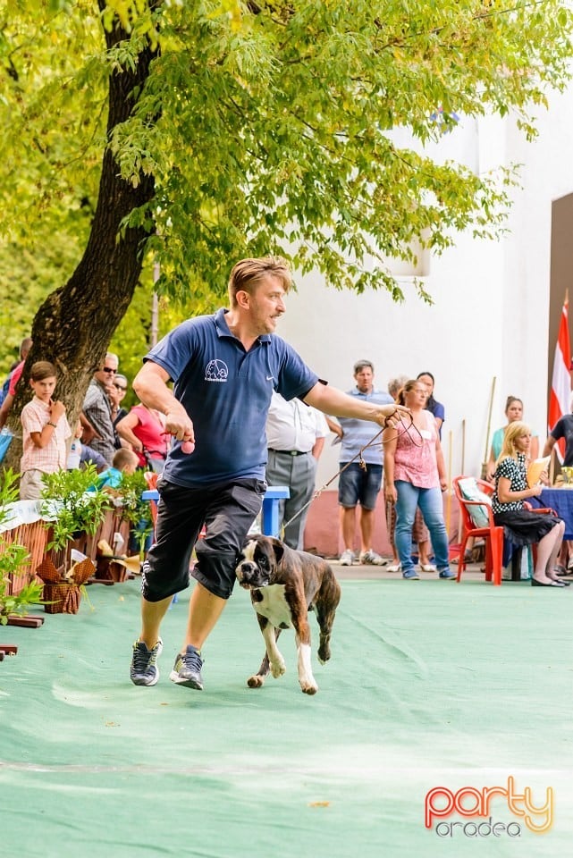 Expoziţie de frumuesţe canină, Oradea