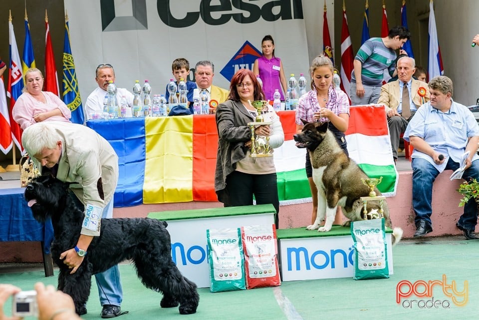 Expoziţie de frumuesţe canină, Oradea