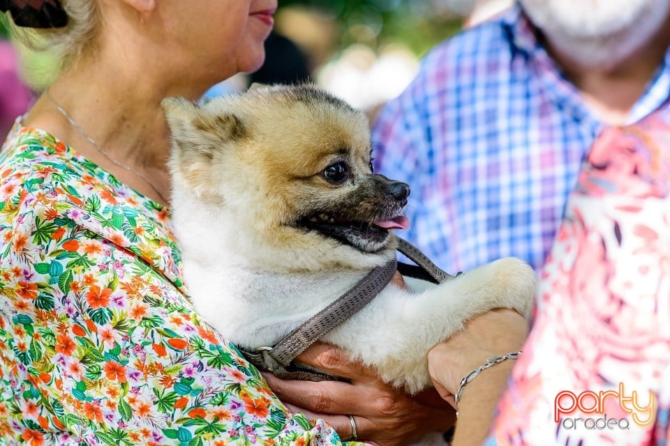 Expoziţie de frumuesţe canină, Oradea