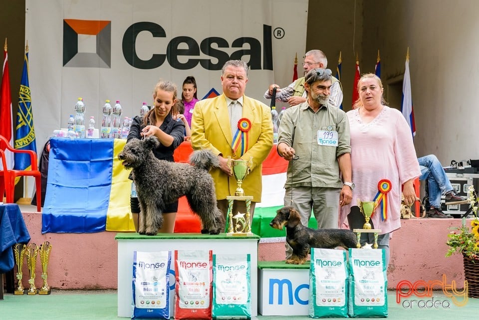 Expoziţie de frumuesţe canină, Oradea