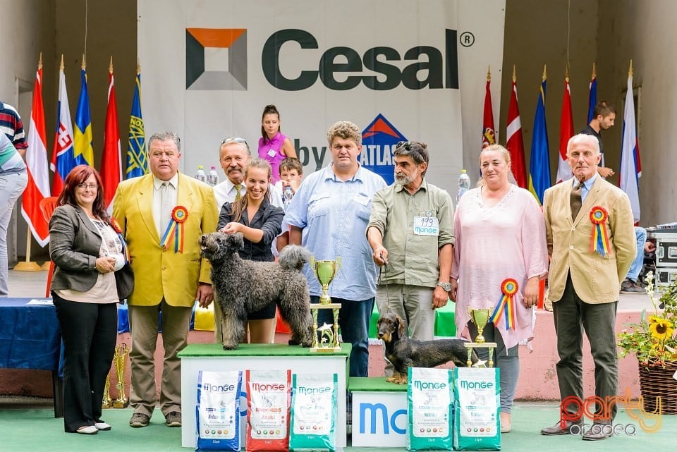 Expoziţie de frumuesţe canină, Oradea