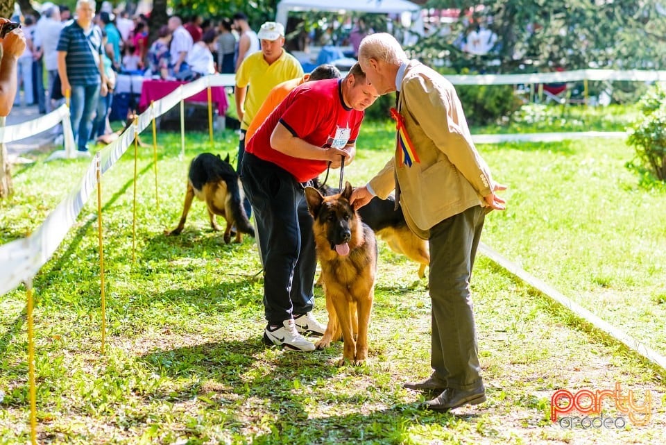 Expoziţie de frumuesţe canină, Oradea