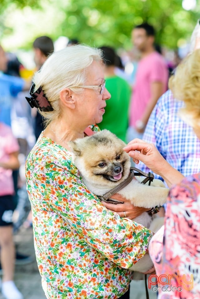 Expoziţie de frumuesţe canină, Oradea