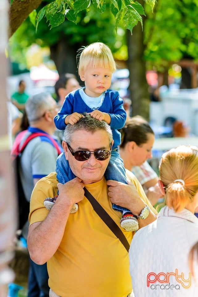 Expoziţie de frumuesţe canină, Oradea