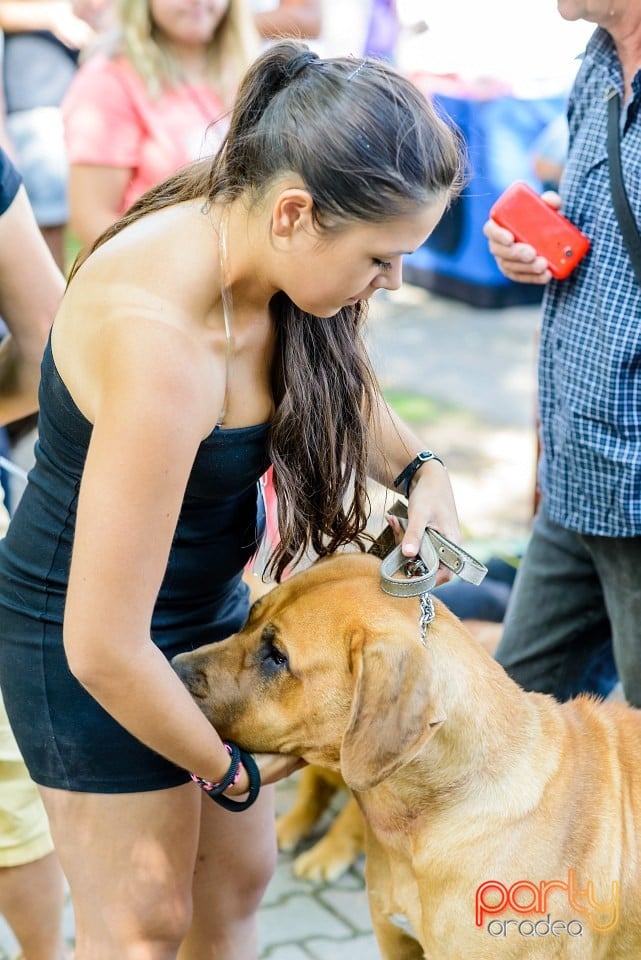 Expoziţie de frumuesţe canină, Oradea