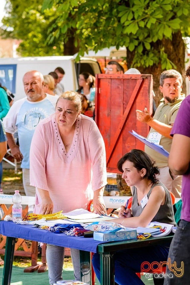 Expoziţie de frumuesţe canină, Oradea