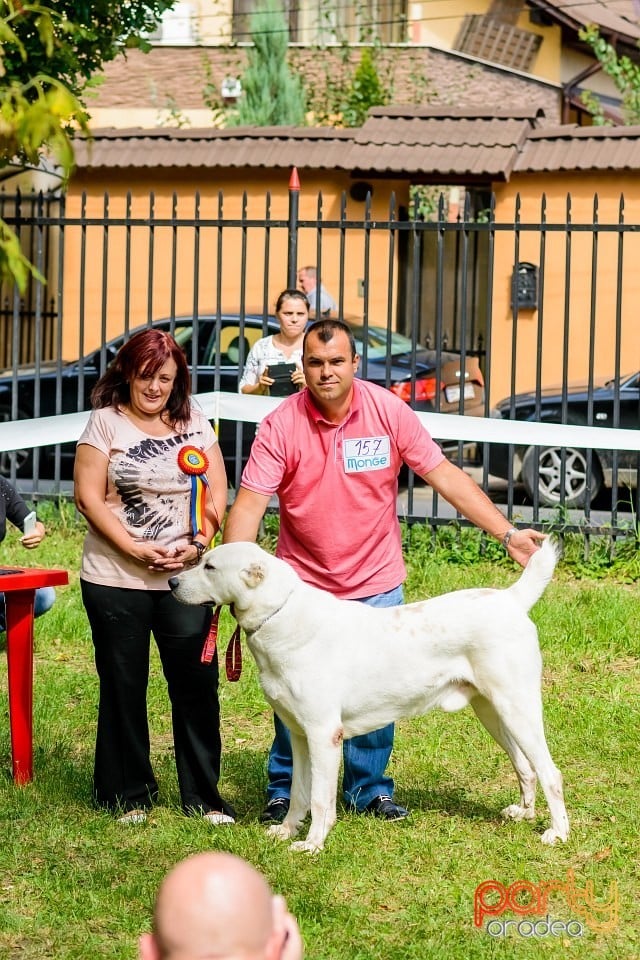 Expoziţie de frumuesţe canină, Oradea