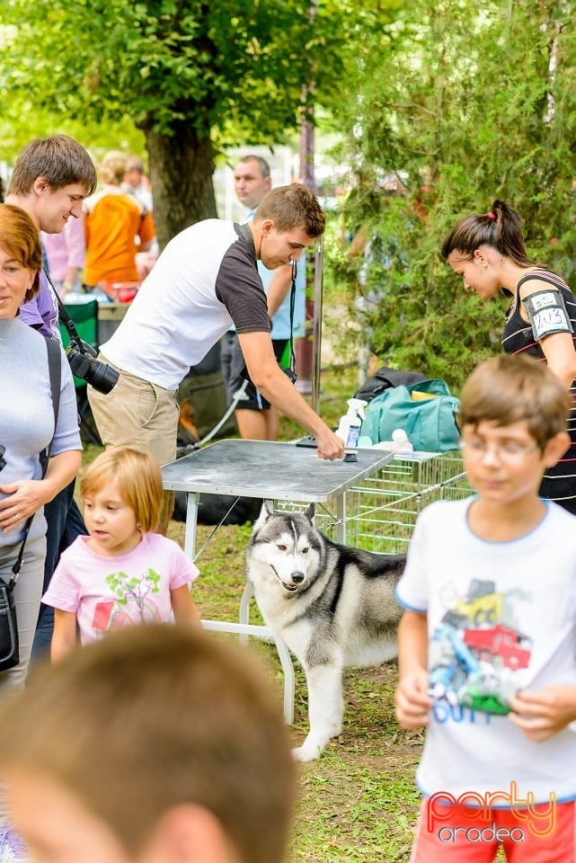 Expoziţie de frumuesţe canină, Oradea