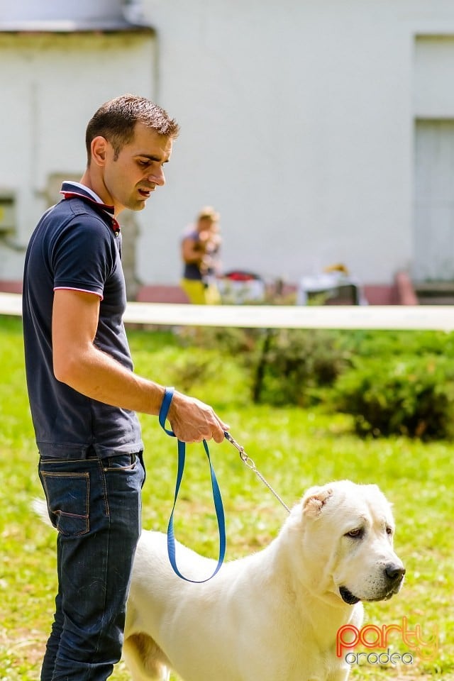 Expoziţie de frumuesţe canină, Oradea