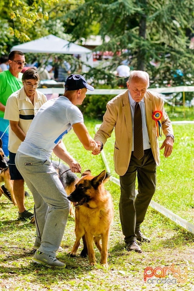 Expoziţie de frumuesţe canină, Oradea