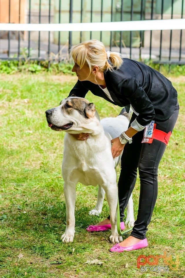 Expoziţie de frumuesţe canină, Oradea