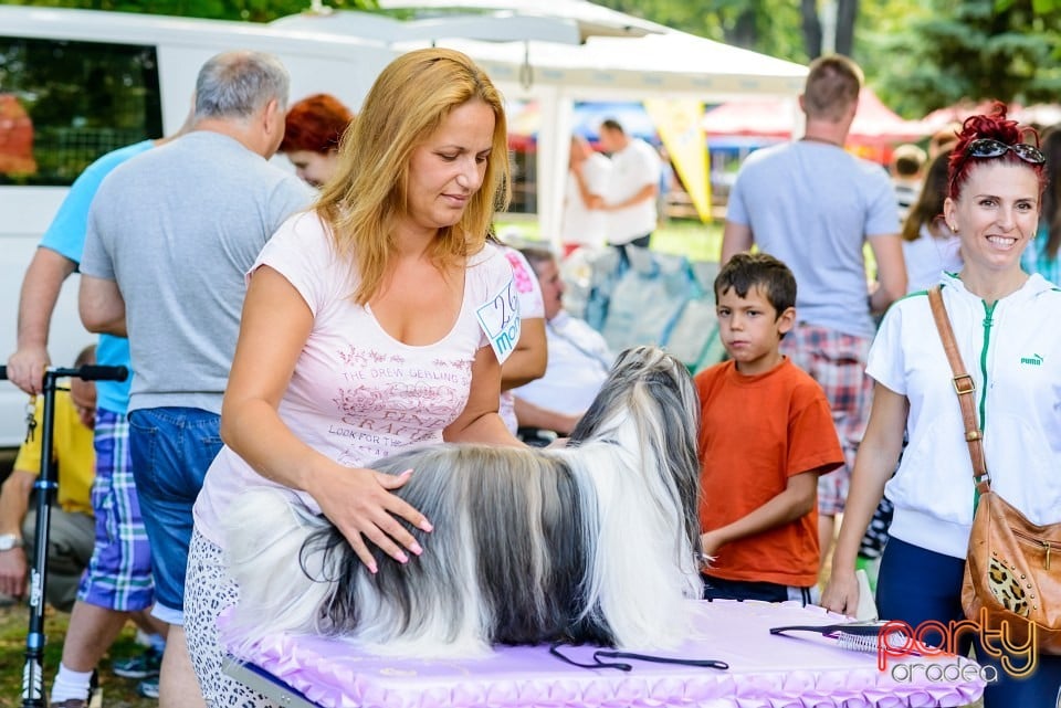 Expoziţie de frumuesţe canină, Oradea