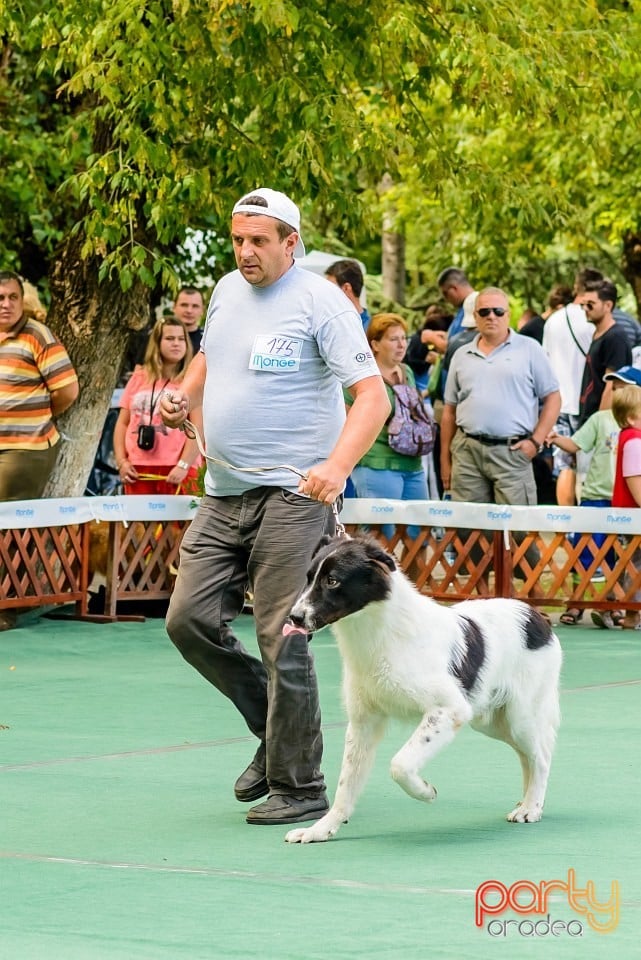 Expoziţie de frumuesţe canină, Oradea