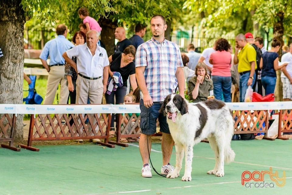 Expoziţie de frumuesţe canină, Oradea