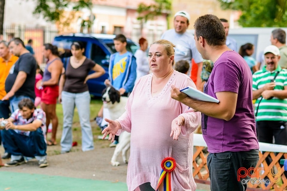 Expoziţie de frumuesţe canină, Oradea