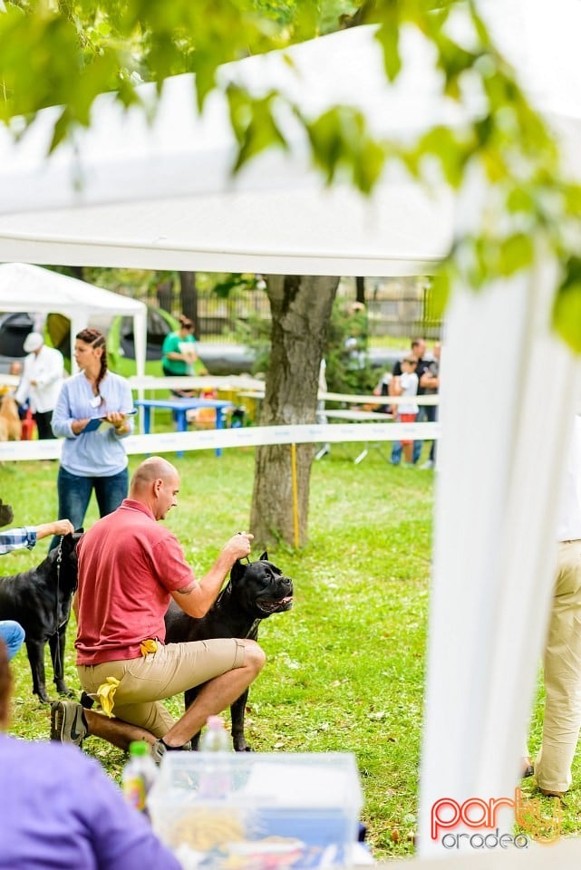 Expoziţie de frumuesţe canină, Oradea