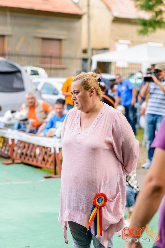 Expoziţie de frumuesţe canină, Oradea