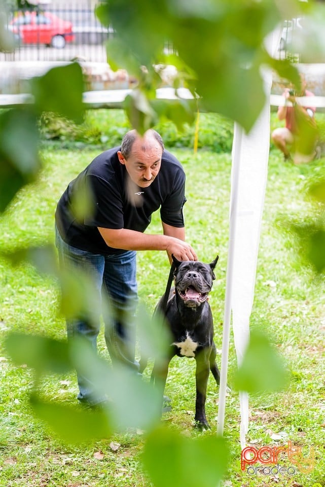 Expoziţie de frumuesţe canină, Oradea