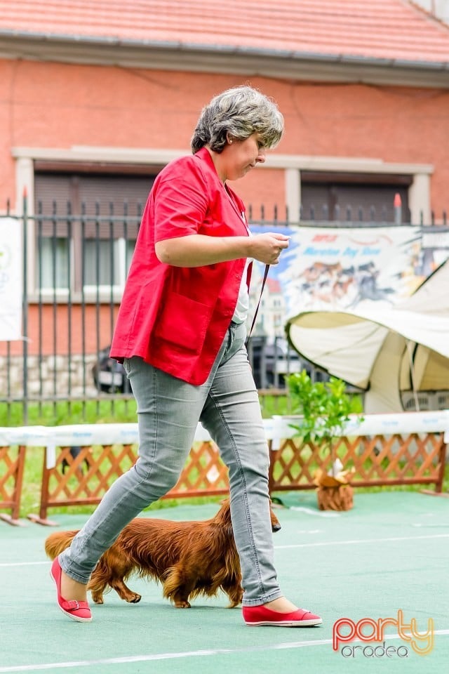 Expoziţie de frumuesţe canină, Oradea