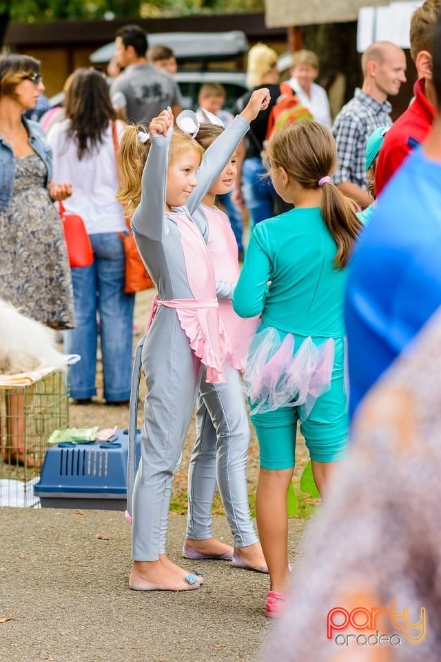 Expoziţie de frumuesţe canină, Oradea