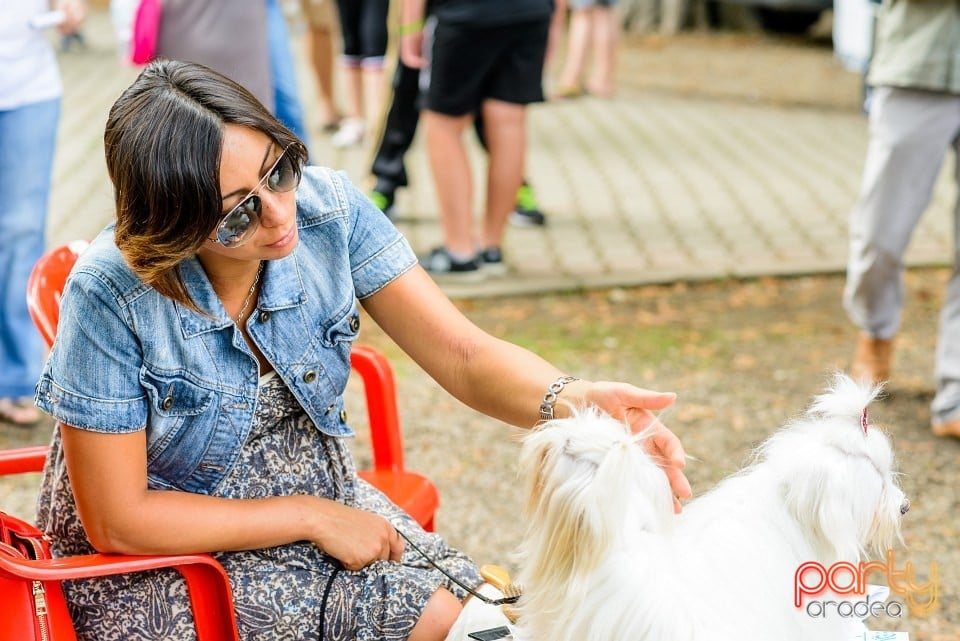 Expoziţie de frumuesţe canină, Oradea