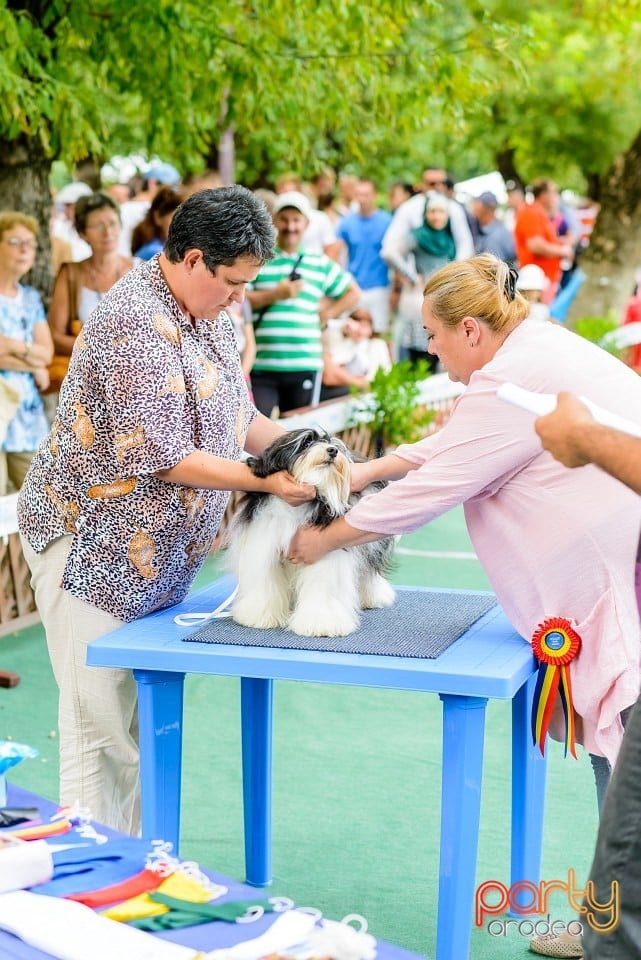 Expoziţie de frumuesţe canină, Oradea