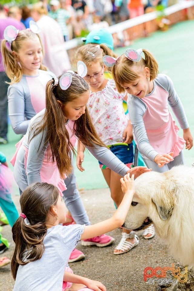 Expoziţie de frumuesţe canină, Oradea