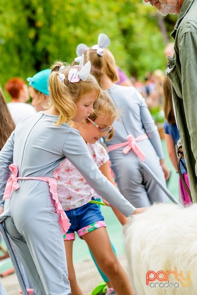 Expoziţie de frumuesţe canină, Oradea