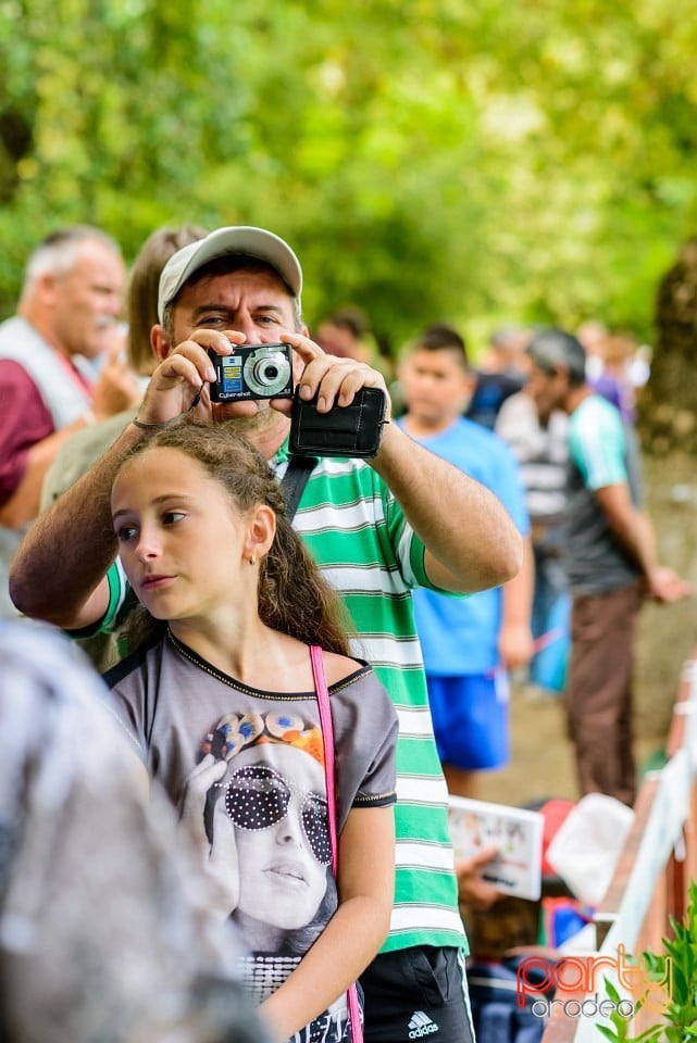 Expoziţie de frumuesţe canină, Oradea