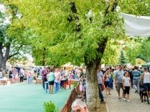 Expoziţie de frumuesţe canină