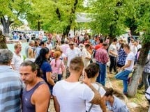 Expoziţie de frumuesţe canină