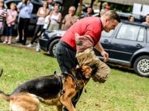 Expoziţie de frumuesţe canină