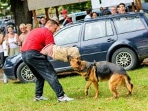 Expoziţie de frumuesţe canină