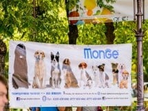 Expoziţie de frumuesţe canină