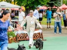 Expoziţie de frumuesţe canină