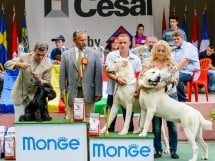 Expoziţie de frumuesţe canină