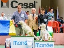 Expoziţie de frumuesţe canină