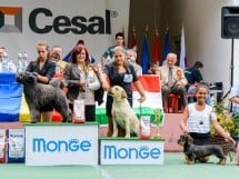 Expoziţie de frumuesţe canină