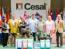 Expoziţie de frumuesţe canină