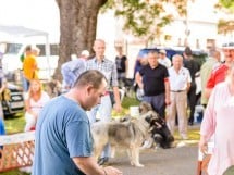 Expoziţie de frumuesţe canină